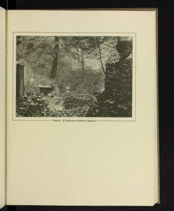 St. Catharinen-Friedhof in Hamburg