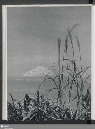 Der heilige Berg Fujisan