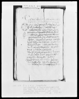 Codex Ragyndrudis, Folio 24verso