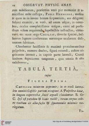 Tabula tertia
