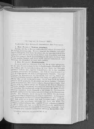 Sitzung am 14. Januar 1913.