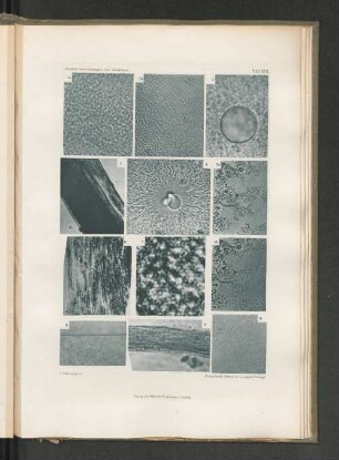 5b