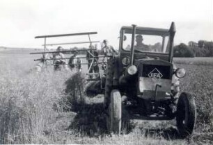 Rapsernte in Kreckwitz : Land- und Viehwirtschaft - Ernte und Einbringen der Ernte. Ort: Krakecy / Kreckwitz. Landwirtschaftliche Produktionsgenossenschaft. Rapsernte