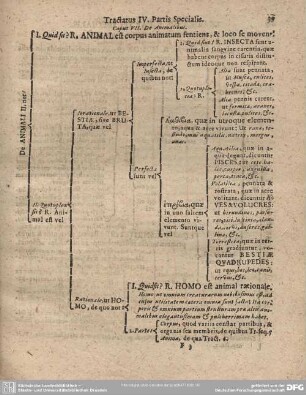 Caput VII. De Animalibus.
