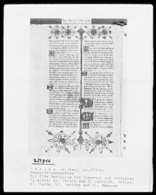 Franziskanisches Brevier — ---, Folio 215versoBuchseite