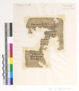 [Theotokia] : Fragm. copt. Pischoi Psalmod. 115
