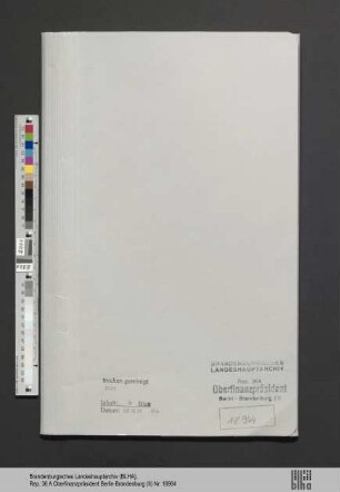 Kaufmann, Klara