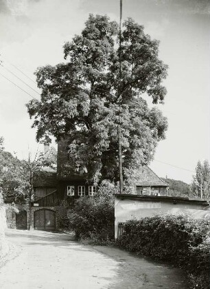 Dresden-Loschwitz, Robert-Diez-Straße 2. Winzerhaus (1701/1800)