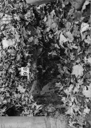 Grabstein 98 (Index: 100091026) Maße HxBxT: 0x0x0 cm: Grabstein 98