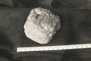 Skolithensandstein. Geschiebe aus dem Diluvium (Umgebung von Dresden). Dresden: Museum für Mineralogie