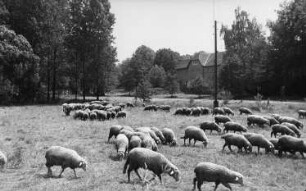 Wilsdruff-Mohorn. Semmelmühle, Ansicht
