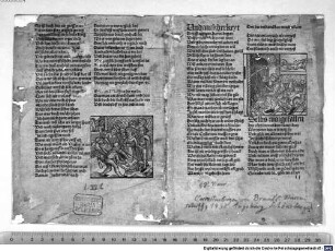 [Korrekturbogen von Sebastian Brant: Das neue Narrenschiff. Augsburg : Johann Schönsperger, 23.05.1495]