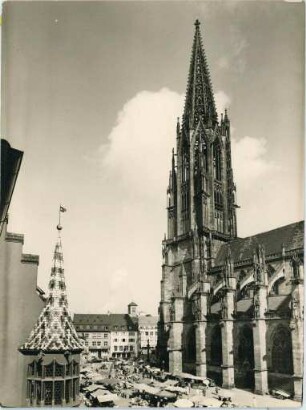 Freiburger Münster und Münsterplatz
