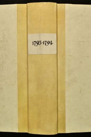 Ratsprotokolle, 1793 Juli 30. - 1794 Juli 24.