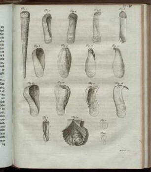 Fig. 1-17
