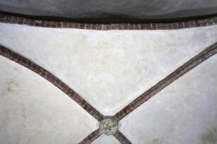 Gewölbebilder mit Drolerien, Ranken- und Laubwerk — Fragment eines Gewölbebild mit Drolerien, Ranken- und Laubwerk — Südliche Gewölbekappe