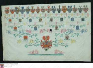 Ahne Ahnenprobe des Karl Friedrich zu Eltz Rodendorf. - ausgefertigt 1735 August 11 Burgmann, Pergament