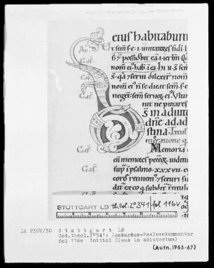 Petrus Lombardus, Psalmenkommentar — Initiale D (eus in adiutorum), Folio 116verso