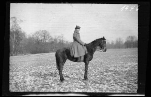 München: Pferdebursche zu Pferd ("Hans" oder "Resi") im verschneiten Englischen Garten: Seitenansicht