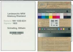 Entnazifizierung Wilhelm Schnelting , geb. 23.11.1886 (Sparkassenleiter)
