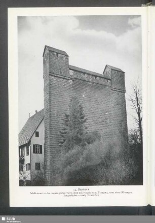 Berneck, Schildmauer