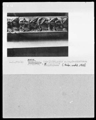 Fragment vom ehemaligen Westlettner des Mainzer Domes: Gebälkfragment mit Ranken