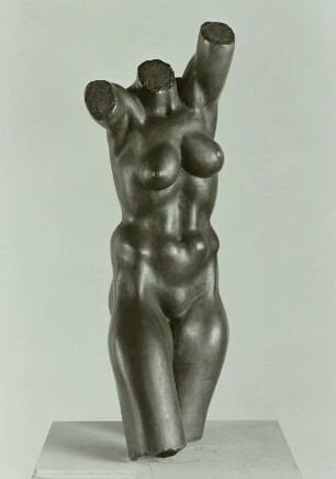 Torso einer Sportlerin