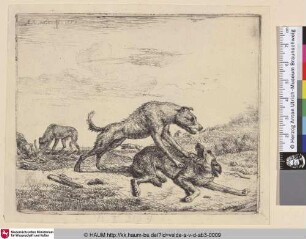 [Kämpfende Hunde; Fighting Dogs]