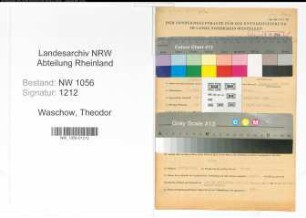 Entnazifizierung Theodor Waschow , geb. 07.04.1907 (Angestellter)
