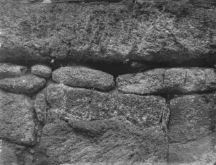 Gartenrotschwanz : Rochlitzer Berg, Gartenrotschwanz (Phoenicurus phoenicurus L.) am Eingang der Nisthöhle.