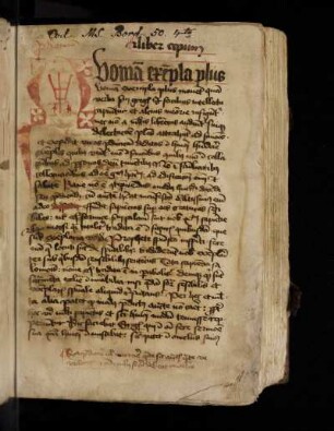 Thomas de Cantiprato: Bonum universale de apibus