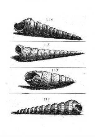 114. - 117.