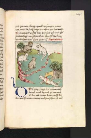 Der Katzenkönig hält Rat mit den Katzen; (Kapitel XVI: Von den Vögeln).