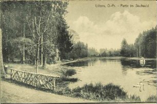 Lötzen, O.-Pr. - Partie im Stadtwald