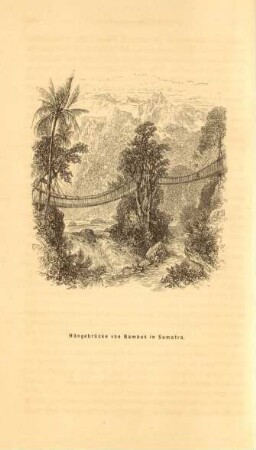 Hängebrücke von Bambus in Sumatra
