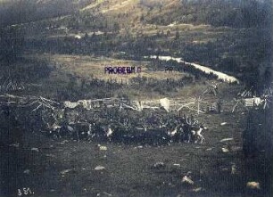 Norwegen. Blick von erhöhtem Standpunkt auf weidende Rentierherde in einem Samenlager bei Tromsø