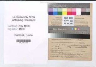 Entnazifizierung Bruno Schiwek , geb. 31.12.1912 (Zollbeamter)