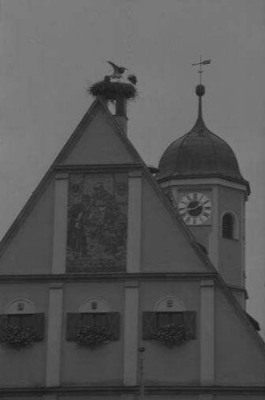 Weiden: Storchennest auf dem Rathausgiebel