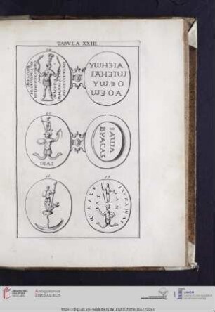 Capvt XIII: Tabvla XXIII.