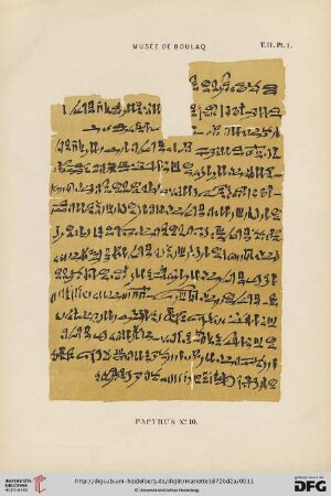 Planches T.II. Pl.1 - T.II. Pl.57