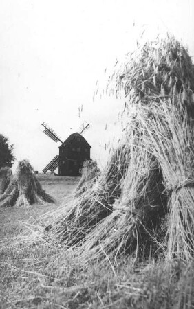 Oderwitz-Oberoderwitz. Berndtmühle, Erntezeit, um 1935, Repro