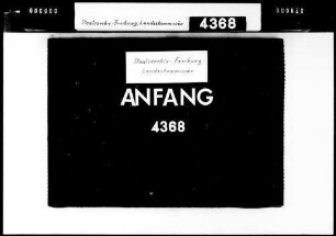 Reinigung und Instandhaltung der Hegauer Aach