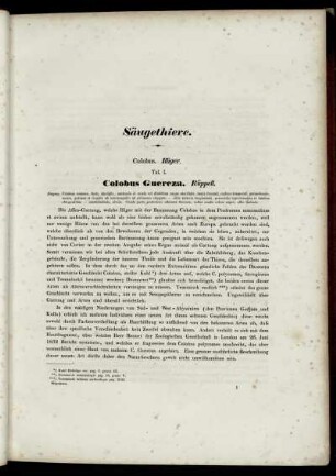 Säugethiere [Abbildungsbeschreibungen zu Taf. 1 - Taf. 14]