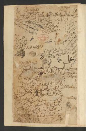 Ḥayāt al-ḥayawān al-wusṭā