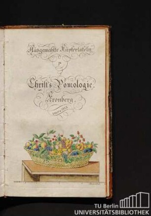 Ausgewählte Kupfertafeln zu Christ's Pomologie
