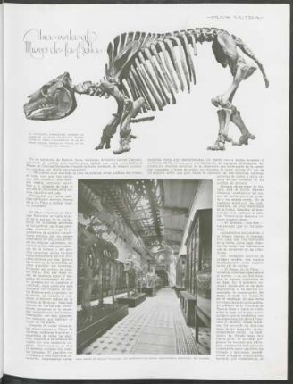 Una visita al Museo de la Plata