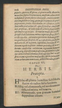 Caput VI. De Herbis.