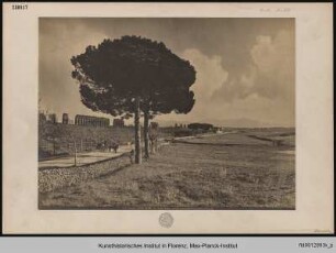 Via Appia Nuova, Rom