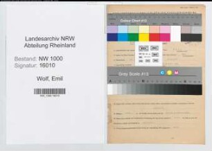 Entnazifizierung Emil Wolf, geb. 27.04.1906 (Bankangest.)