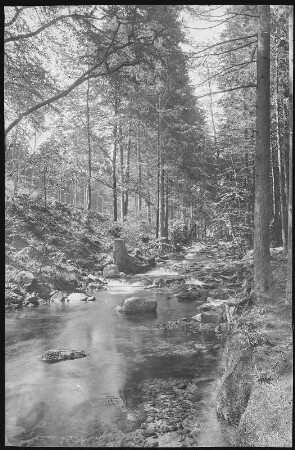 Ilsenburg. Ilsetal